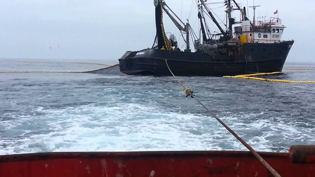 En faena de pesca