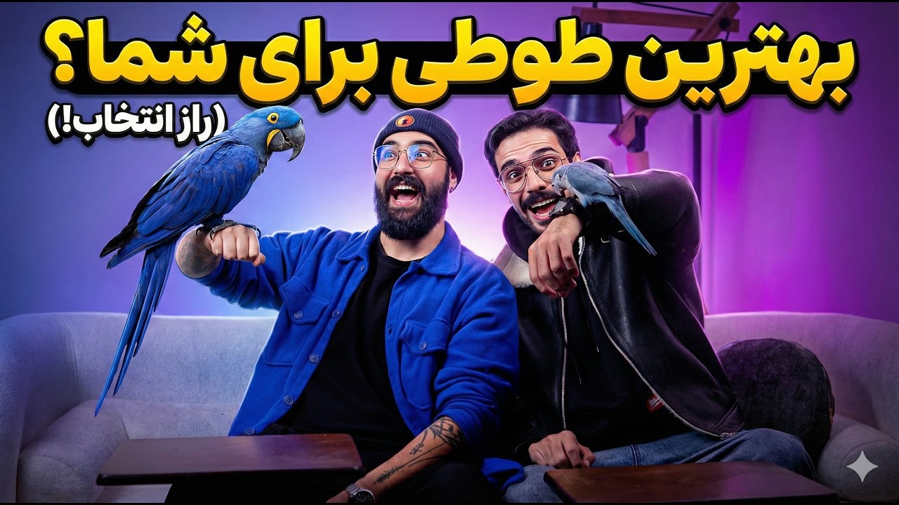 بهترین طوطی برای شما کدومه؟! 😱🦜 (حتماً ببین!)
