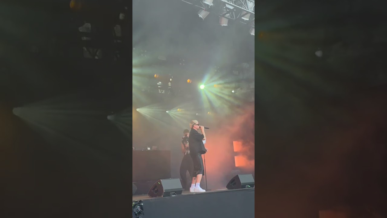 william - Demonit Live (Mellakka Festival)