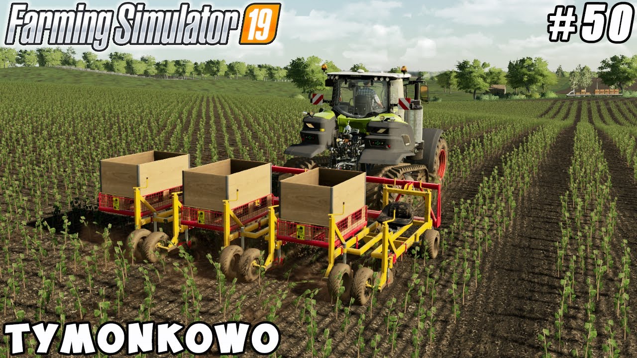 Finishing planting poplar, spraying herbicide, transporting hay | Tymonkowo | FS 19 | Timelapse #50