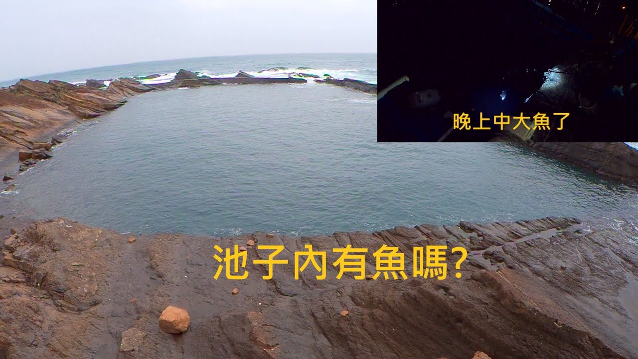 被圍起來的野生釣魚池? 東北角四季灣 釣況分享 20200302 [嘟嘟釣魚狂#66]