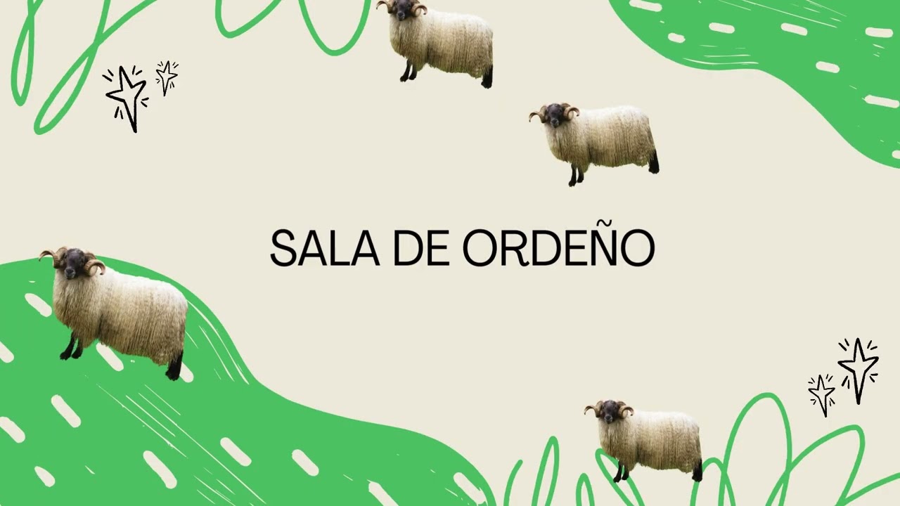 Explotación de ovino de raza latxa "Explotación Neiker"