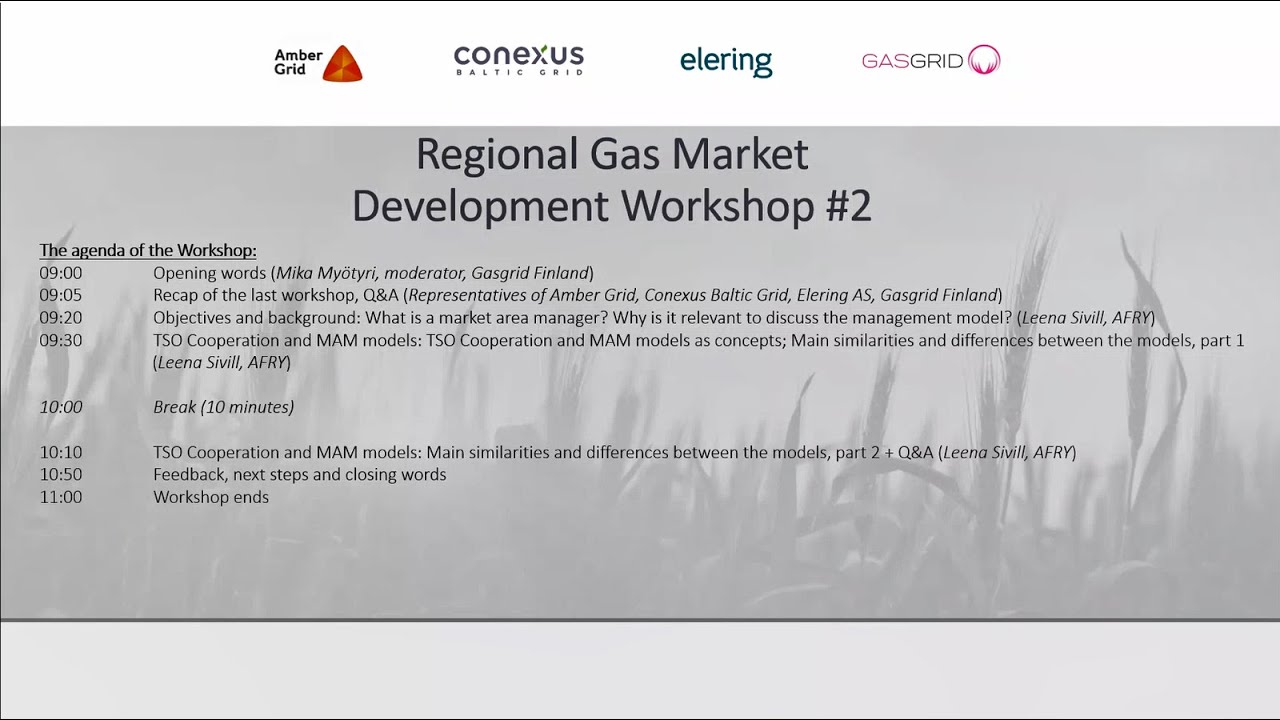Regional Gas Market Development Workshop #2, 6 November 2020