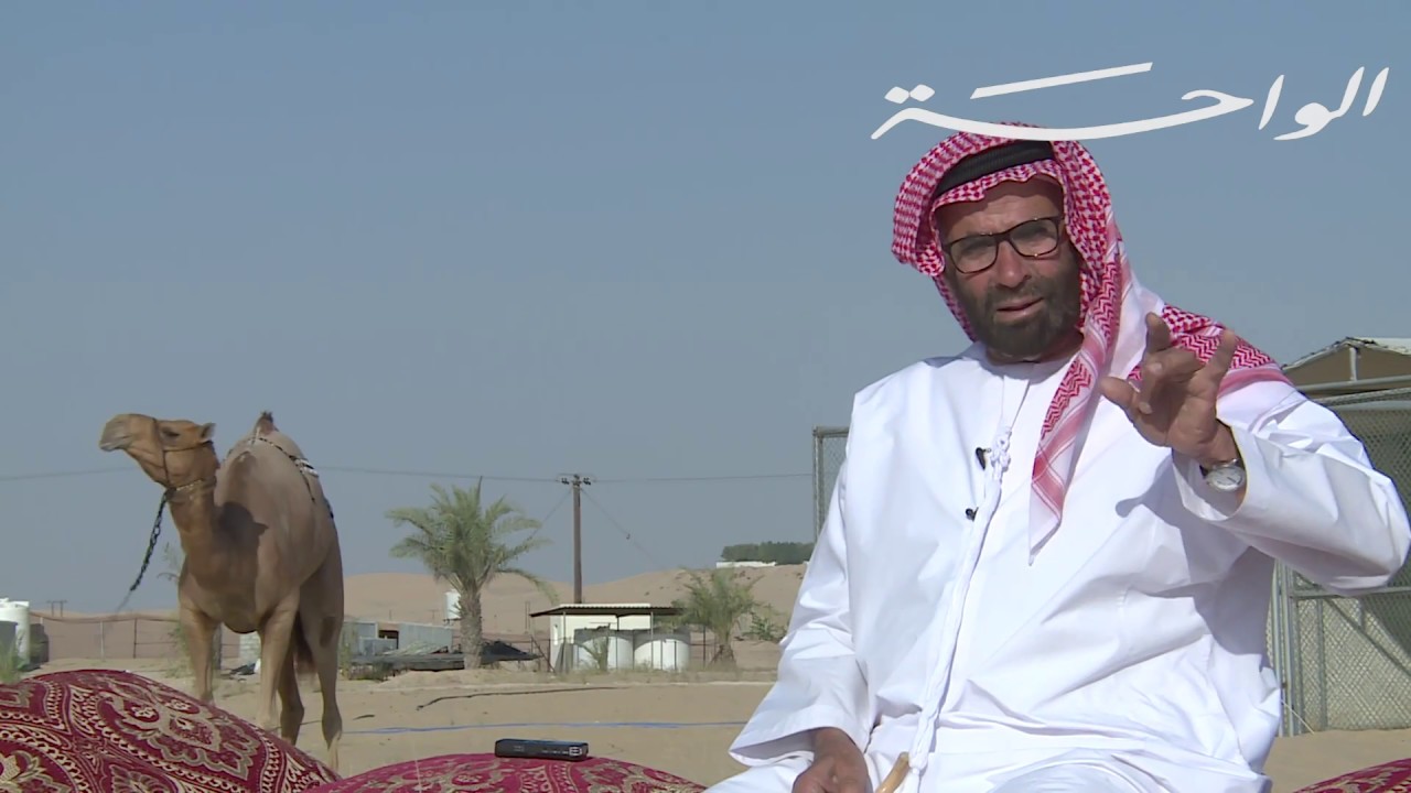 قناة الواحة تقدم برنامج على خطى زايد حلقة السيد ناصر بن نخيرة الخييلي
