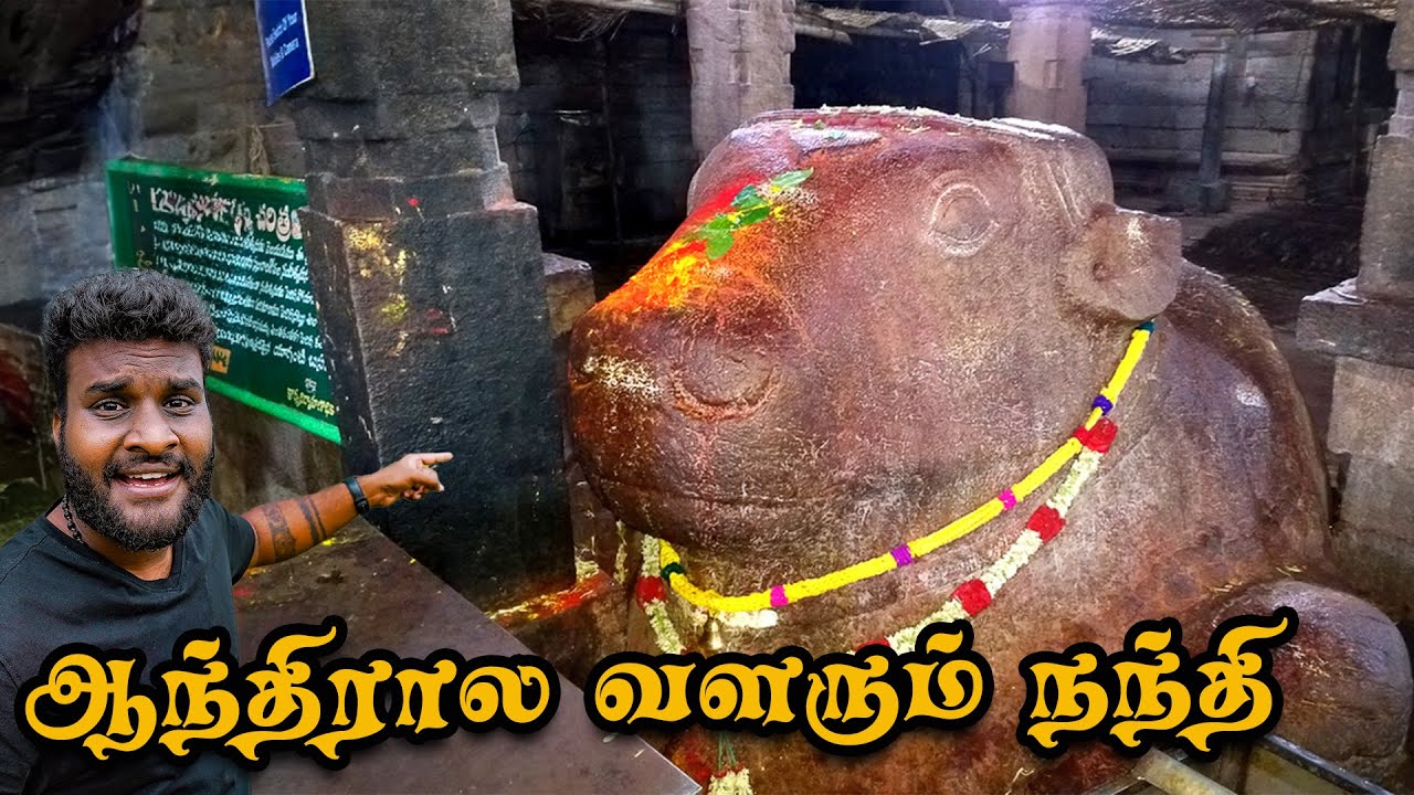 400 வருசமா வளரும் கல் நந்தி | Yaganti Temple Andhra | Tamil Navigation