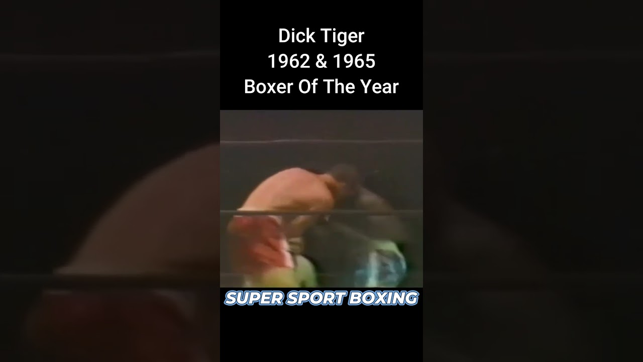 1962 Boxer Of The Year Dick Tiger #dicktiger #boxing #boxeo #boxinghistory #boxinghighlights #boxer