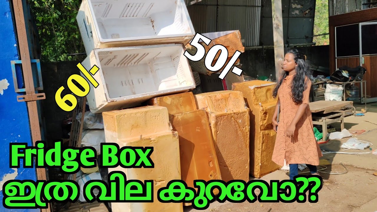 Fridge box ഇത്ര വിലക്കുറവിൽ 💯💯😱 #guppyvalarthalmalayalam #fridgebox #fishtank