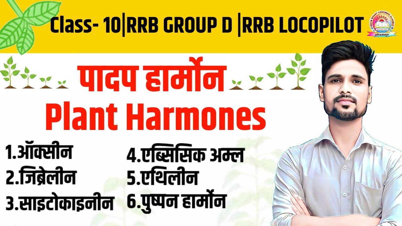 Plant hormones | padap harmon in hindi | पादप हॉर्मोन्स | padap harmons | hormone and their function