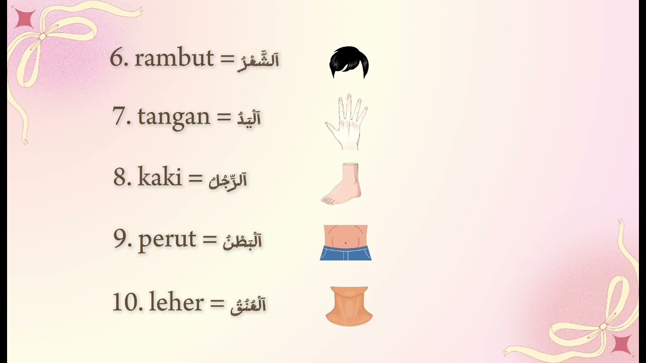 Video pembelajaran bahasa arab tema anggota tubuh (nayla 9.1) #bahasaarab 