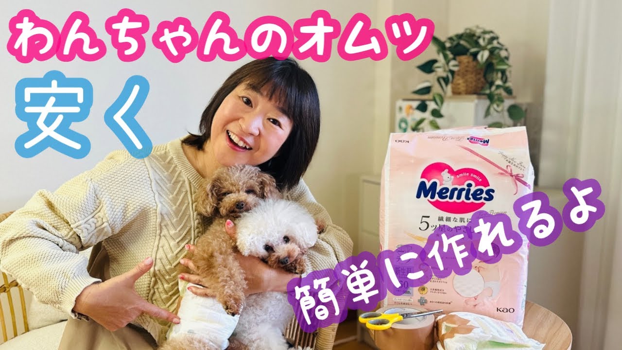 【わんちゃんのオムツ】赤ちゃん用のオムツで安くて簡単に肌かぶれ無しのわんちゃん用オムツが作れます！オス用メス用どちらも紹介しています❣️