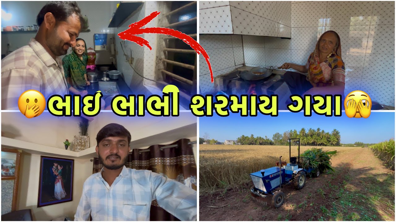 ભાઈ ભાભી નો પ્રેમ તો જોવ🤣 || Sk Gujarati Vlogs ||
