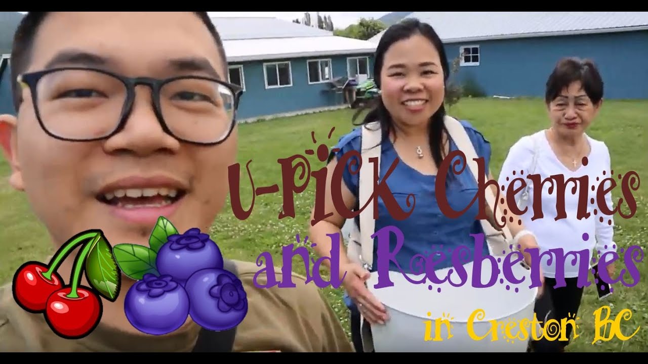 U-Pick Cherries & Blueberries in Creston BC