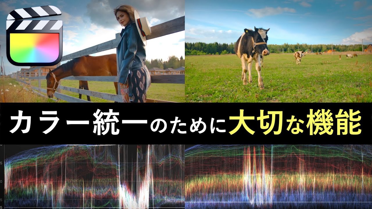 【知るは易し使うは難し】動画全体の色を統一させるために便利な機能/ファイナルカットプロ