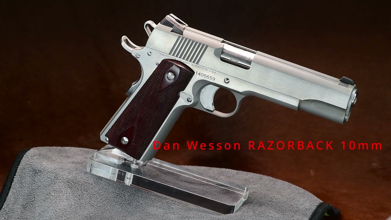 Dan Wesson Razorback 10mm