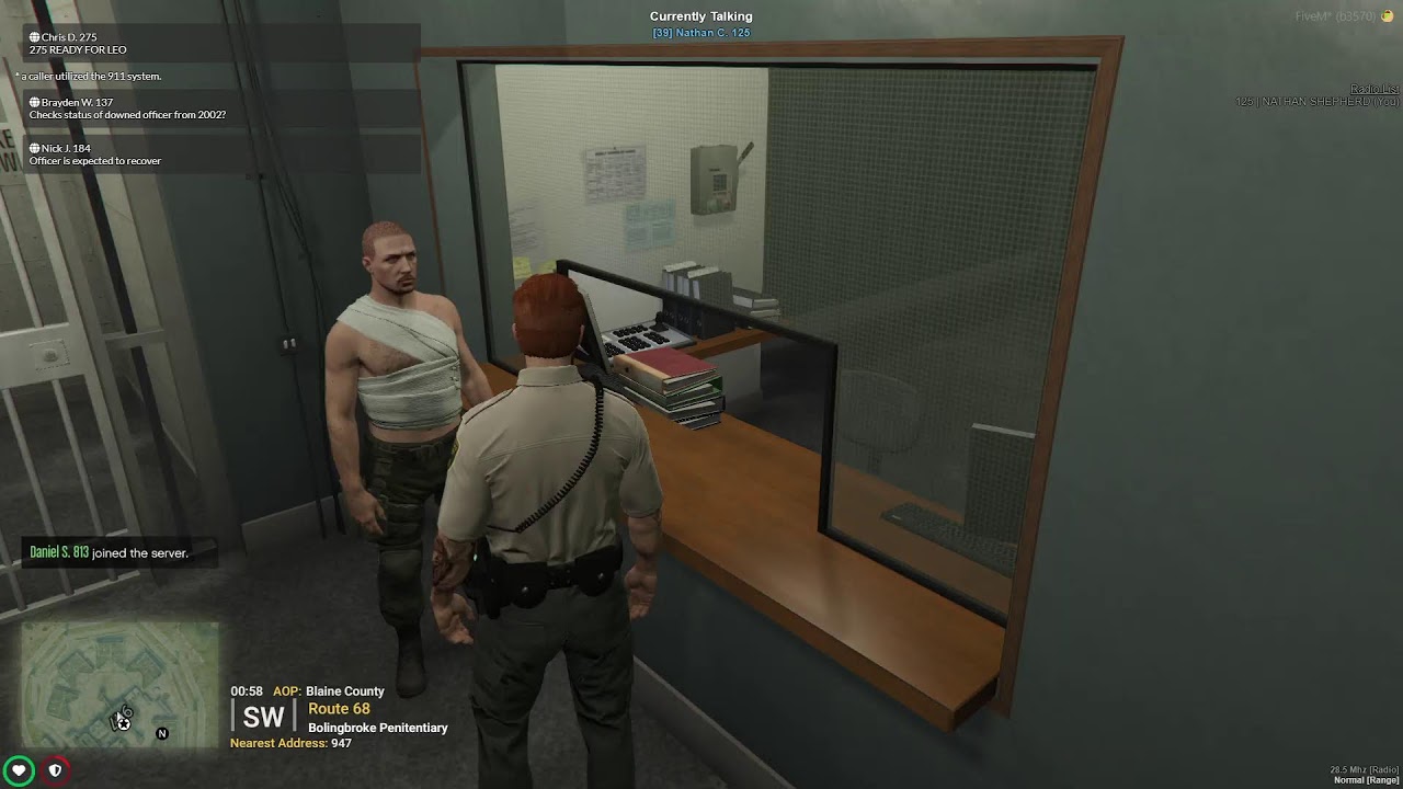 ARP 310: LEO - DOC #fivem    #roleplay