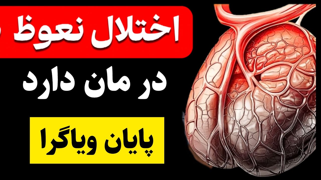 این ماده را بخورید و نعوظ هزار درصد تقویت می‌شود!(و ۵ خوراکی که نعوظ را نابود میکنه)