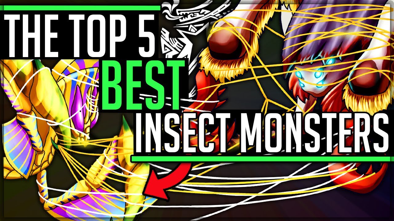 The Top 5 Best Insect Monsters in All of Monster Hunter! (Iceborne/Discussion/Fun) #mhw