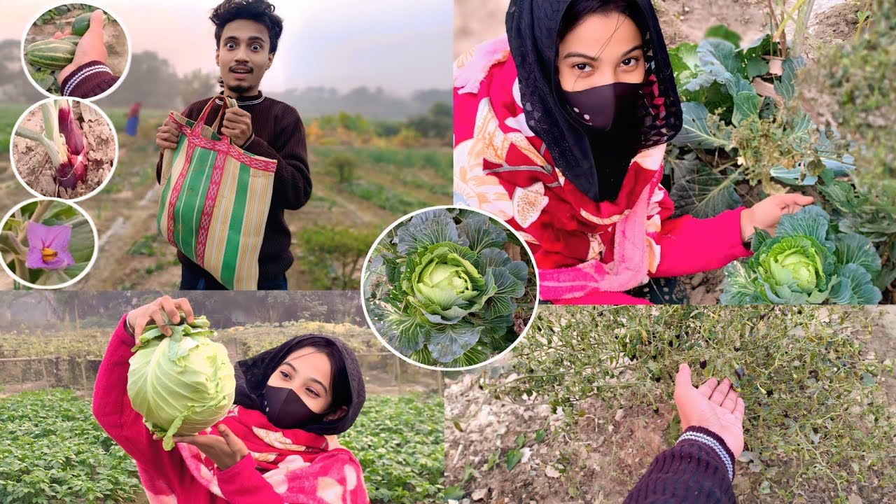 আমরা দুজনে মাঠে যাচ্ছি কিছু শাকসবজি নিয়ে আসার জন্য 🥬🥦🍀 