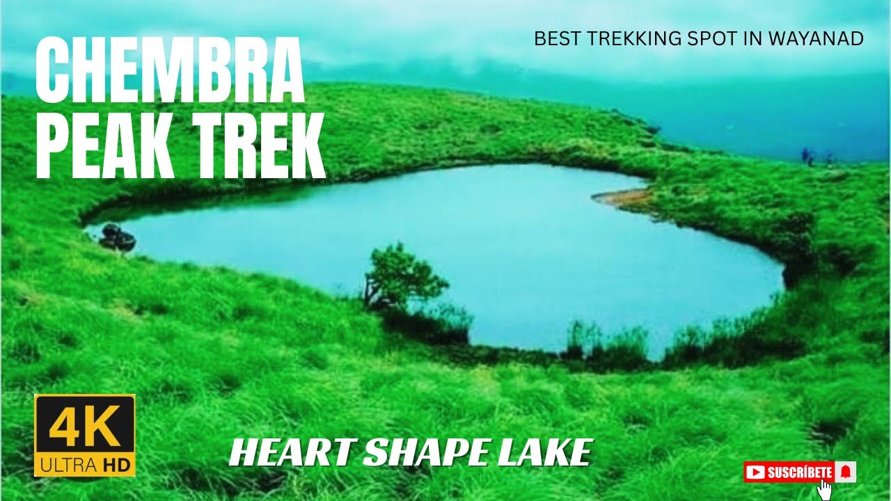 Chembra peak Trek Wayanad | Heart Shape Lake Wayanad | A-Z Information | Wayanad Trekking |Malayalam