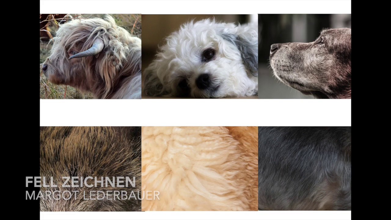 Fell zeichnen Teil 1