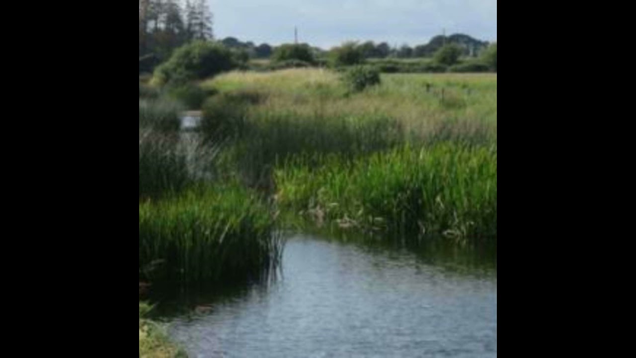 How to Maintain & Improve Water Quality