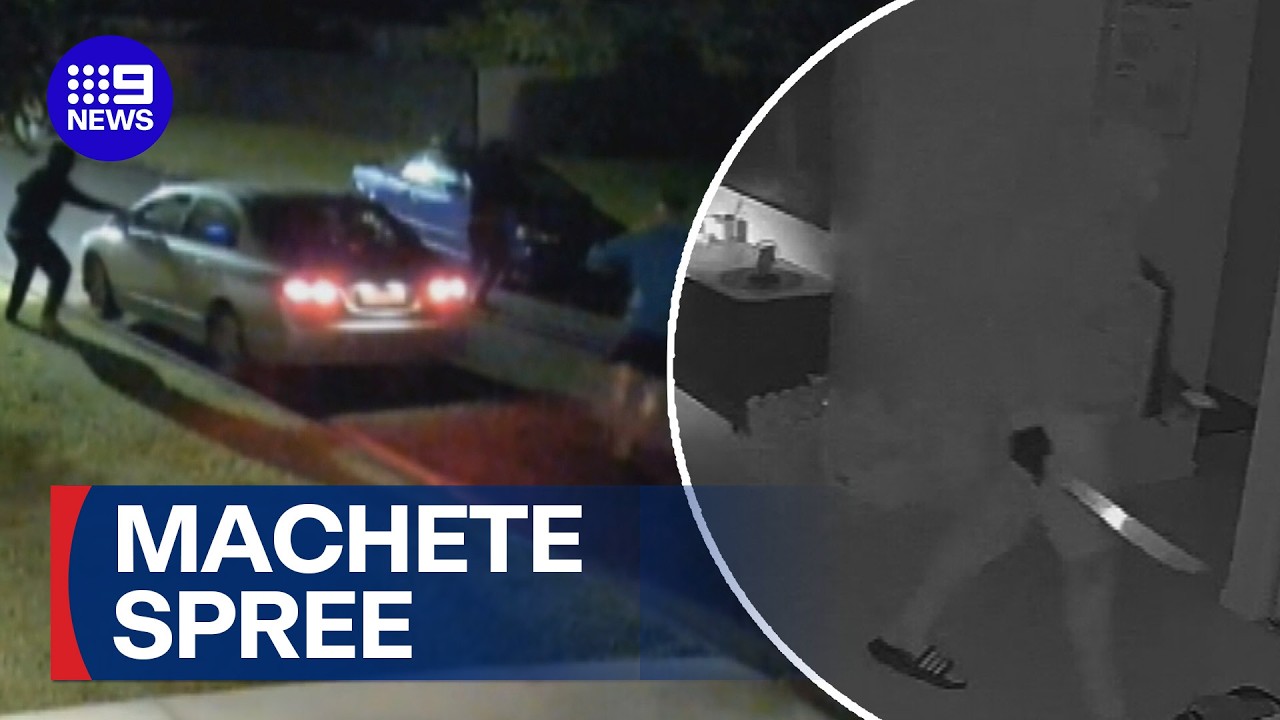 Machete-wielding thugs have run riot across the Gold Coast | 9 News Australia