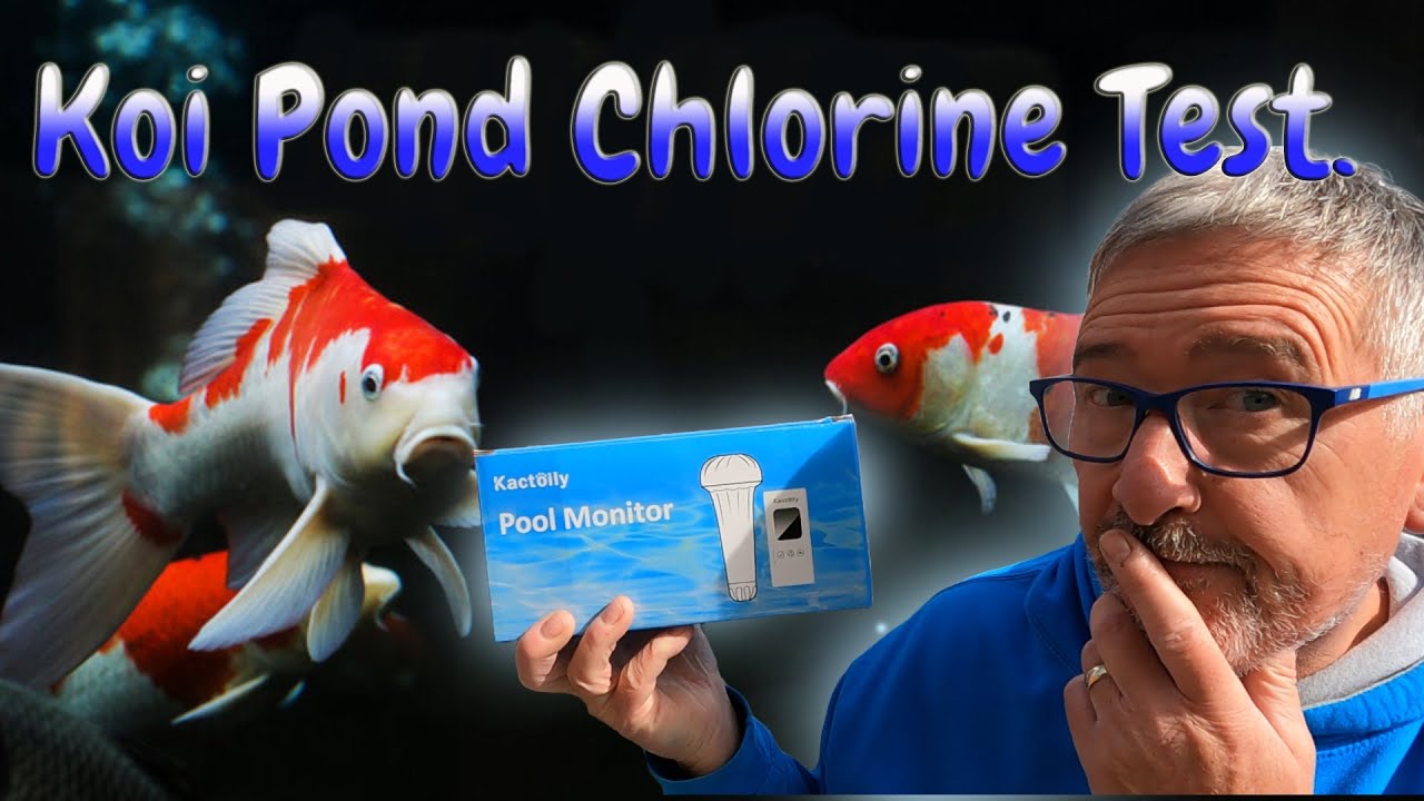 KOI FISH POND* WIFI CHLORINE TESTER😉BUT WILL IT WORK IN MY POND🤔😉**