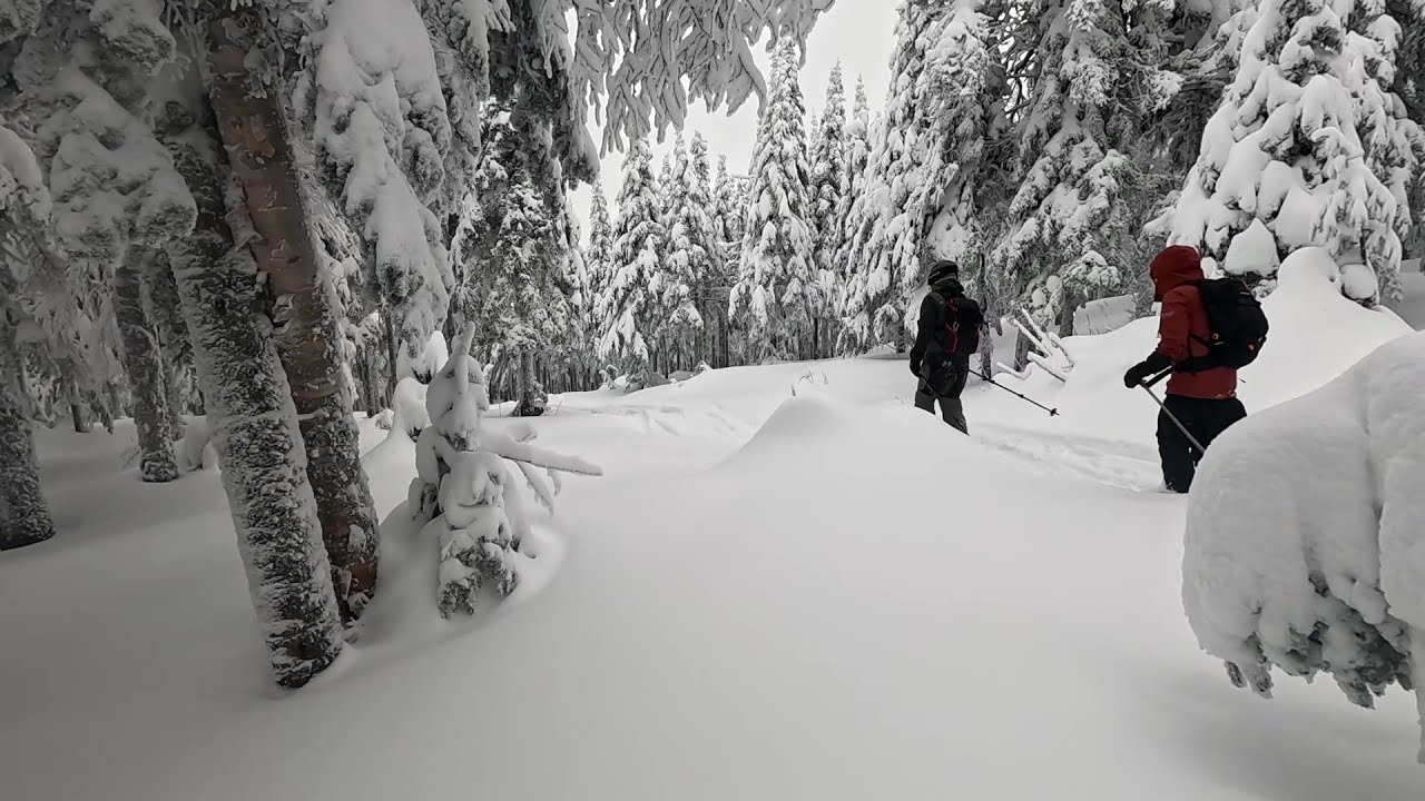 2026 01 16 Massif du sud (photos)