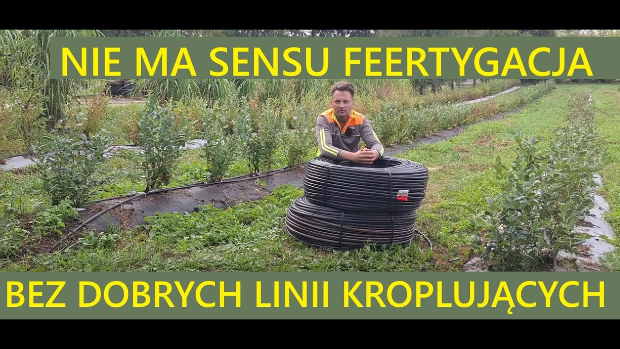 Linie Kroplujące do Borówki 16 mm z Kroplownikami co 33 cm To one Będą od Nowego Sezonu na Plantacji
