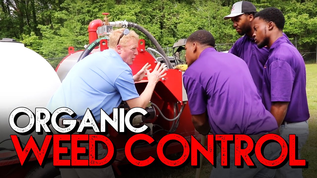 ORGANIC WEED CONTROL | Steam Weeding Study at Alcorn State University