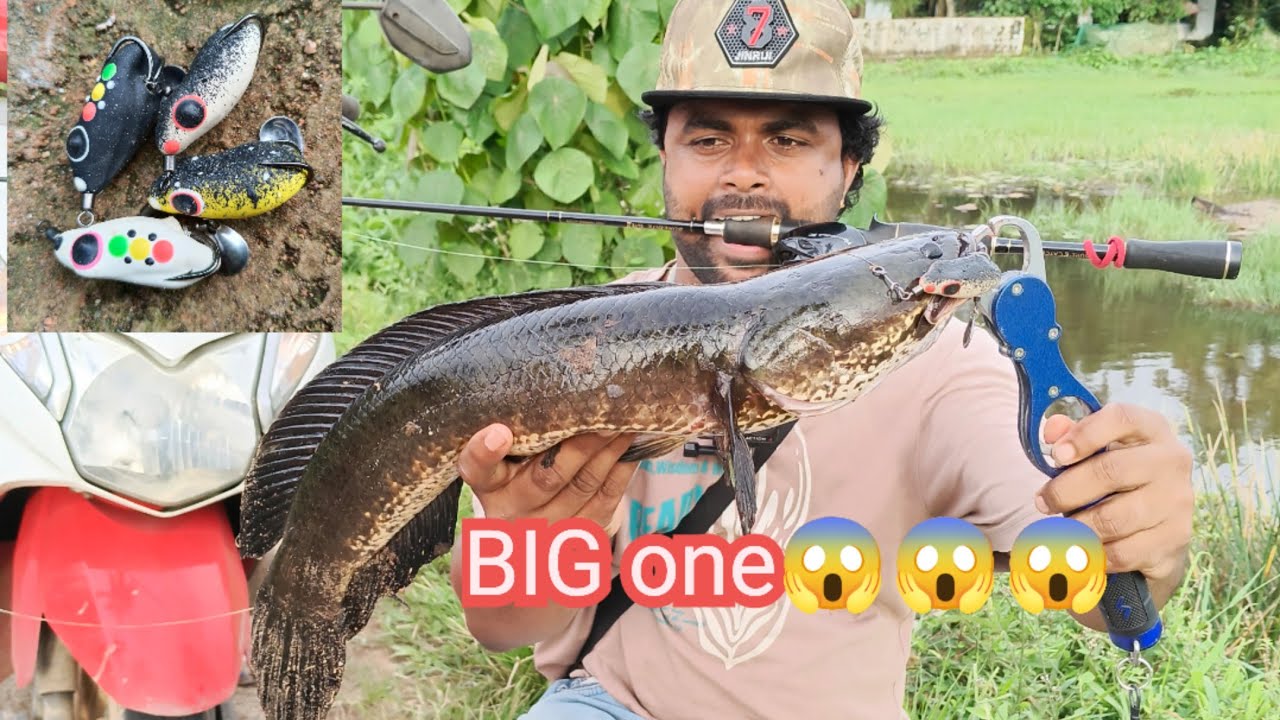 പുതിയ ഫ്രോഗ് ഉപയോഗിച്ചിട്ടുള്ള മീൻപിടുത്തം #fishing #handmadelure #fish 