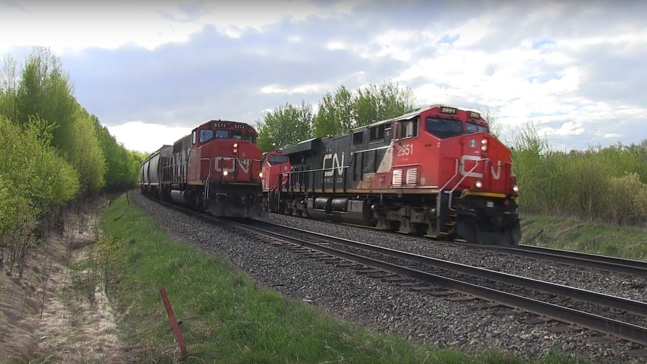 CN Train Spotting HD: CN 2951 Q102 Races CN 5274 L519 At Carvel AB! 7/10 5/16/17