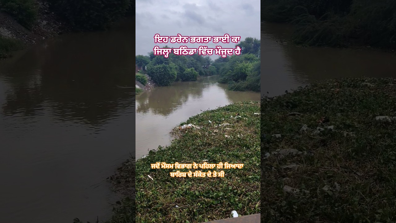Drain flood in punjab #punjab #farming #unfrez #water #flood #leakage #fall #humanity #waterhole