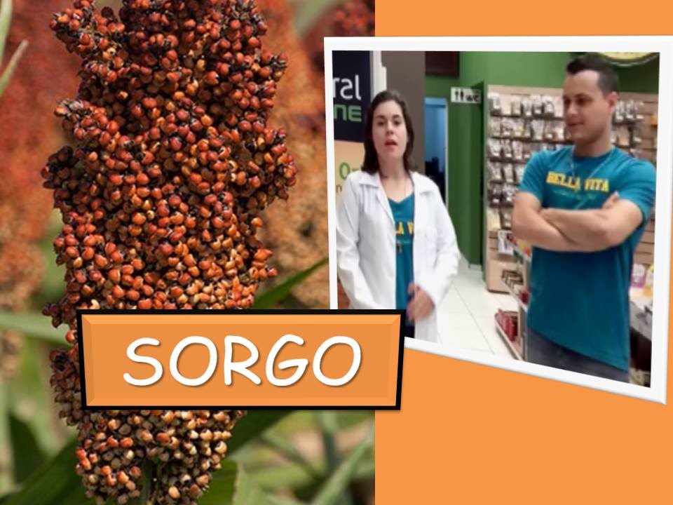 Grão e Farinha de SORGO (BENEFÍCIOS E COMO USAR)