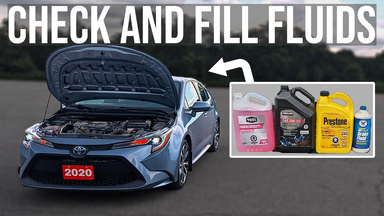 How to Check and Fill Fluids [COMPLETE GUIDE] - Toyota Corolla (2019-2026)
