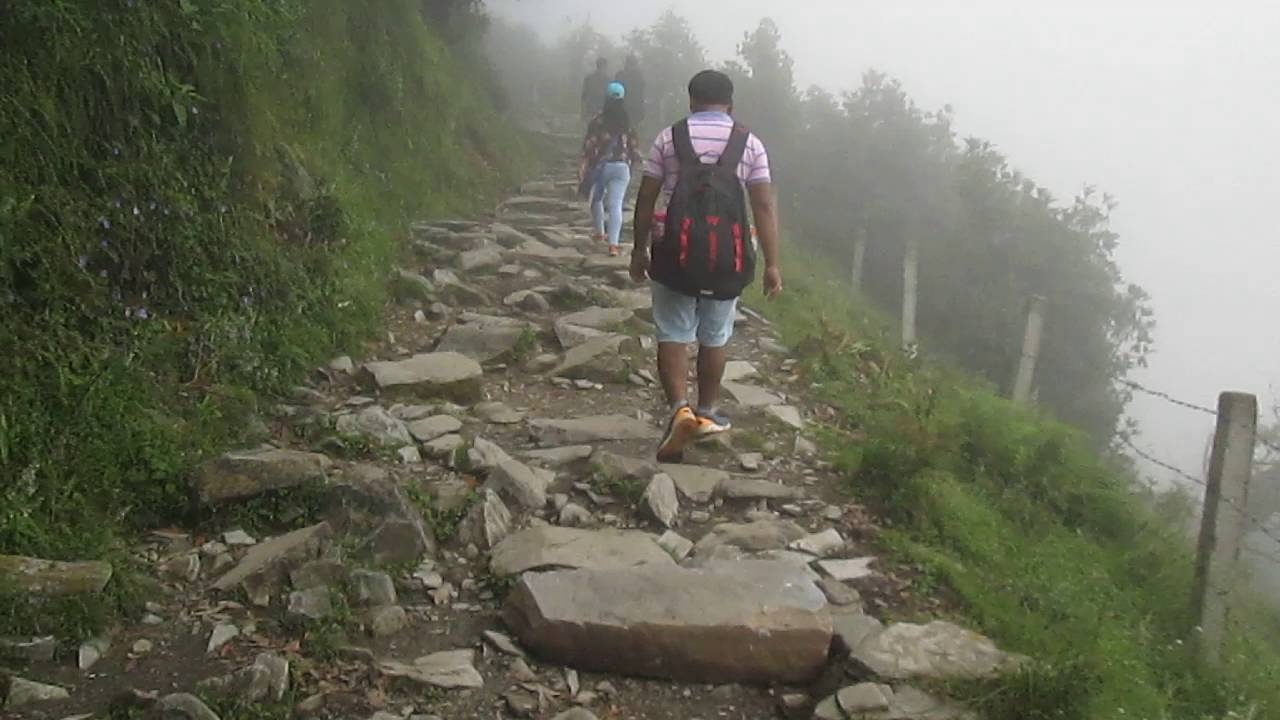 On The Way of Trekking To TRIUND From Dharamasala 4...