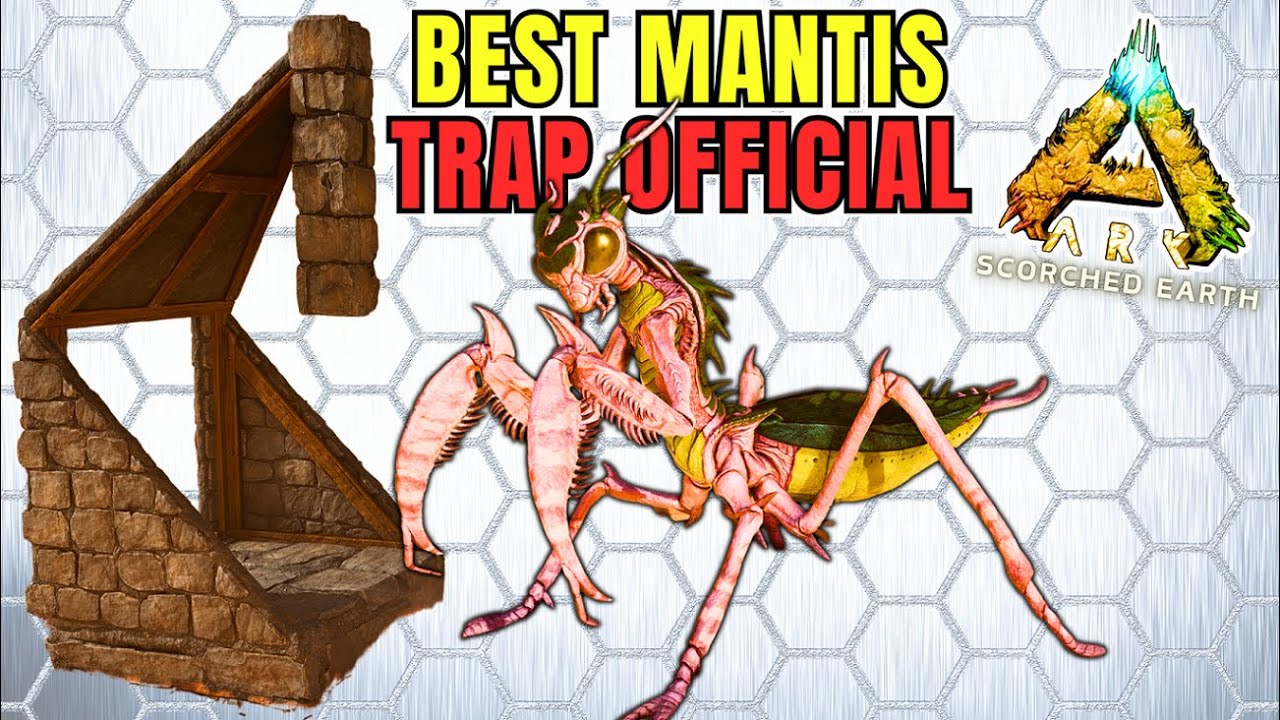 Easiest Mantis trap Ever - Even for Official