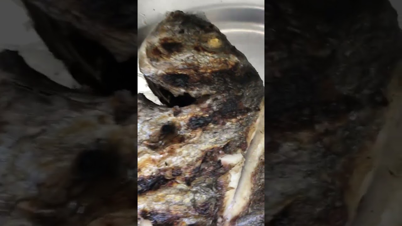 #dourada #peixes #fishrecipe #grilledfish #grelhados #grilled #shortsvideo #youtubeshorts #shorts