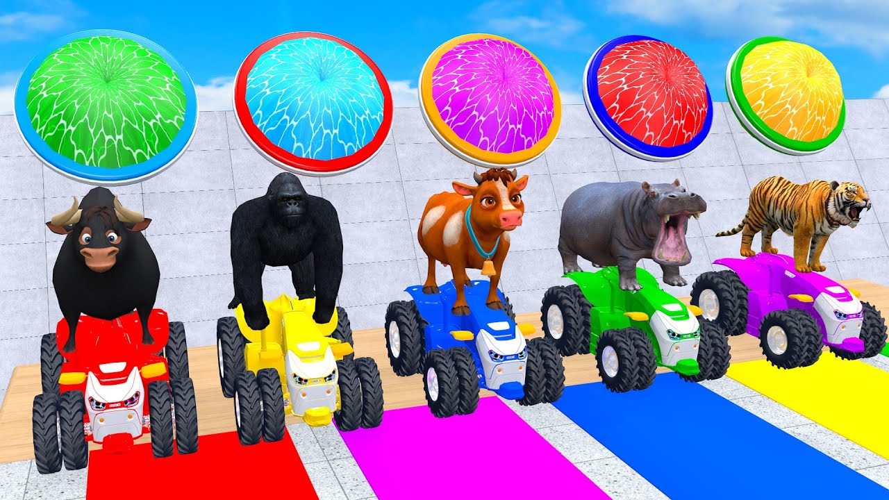 Long Slide Game With Cow Elephant Gorilla Hippopotamus Tiger - 3d Animals Game - Funny 3d Animals