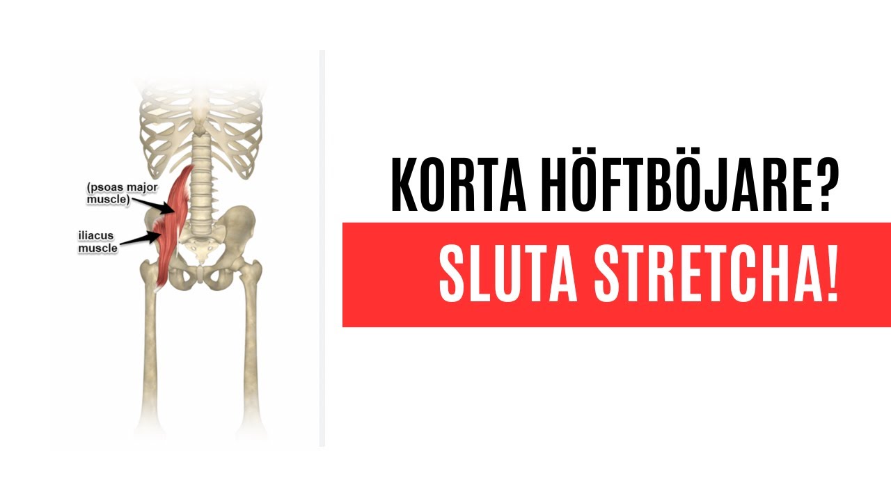 Korta höftböjare och ryggvärk - Det du måste veta! | Ryggövningar | Ryggont