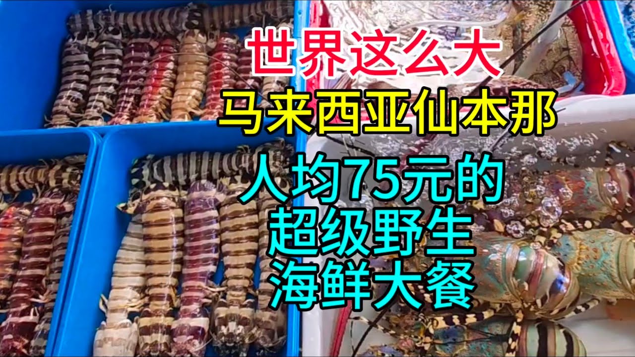 世界这么大，马来西亚仙本那人均75元的超级野生海鲜大餐，粤语中字幕2024-5-14