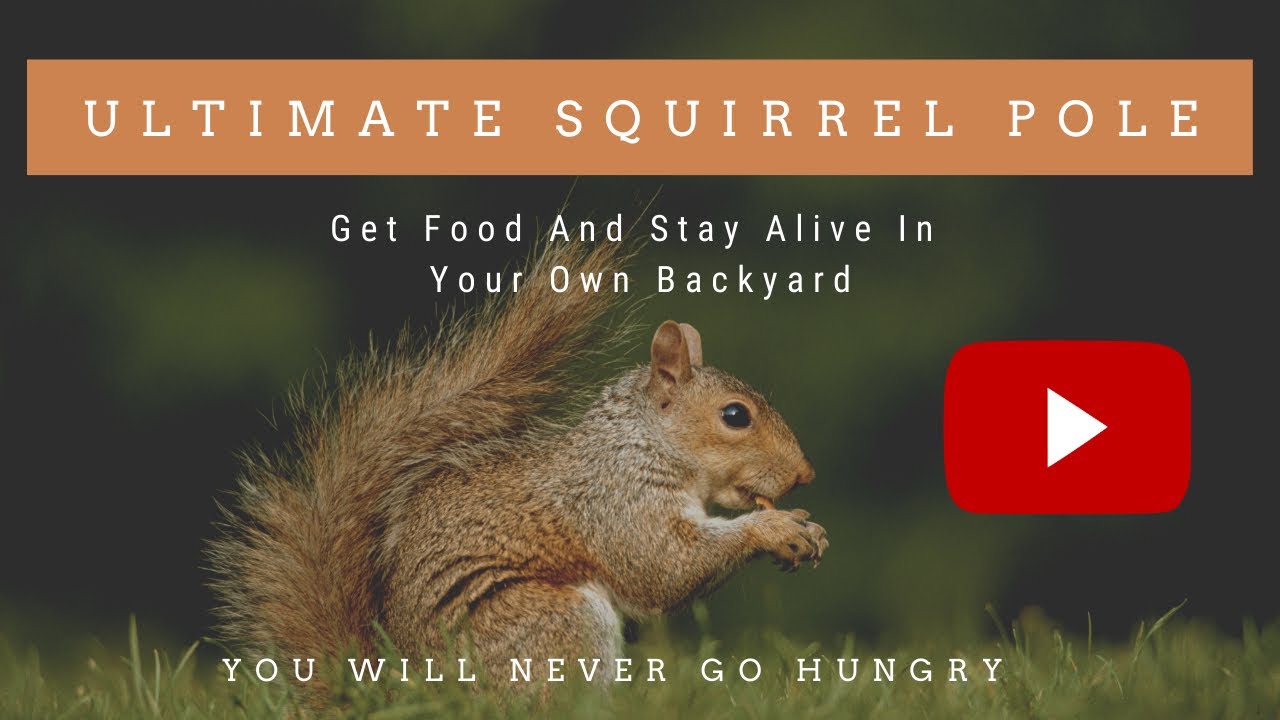 Ultimate Squirrel Pole - Survival Trapping