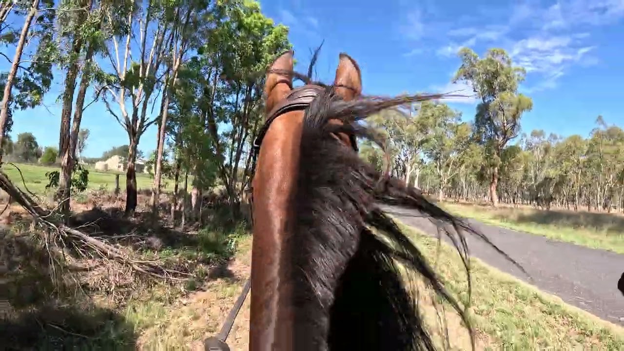 First Ever Endurance Ride Bony Mountain Feb 2026