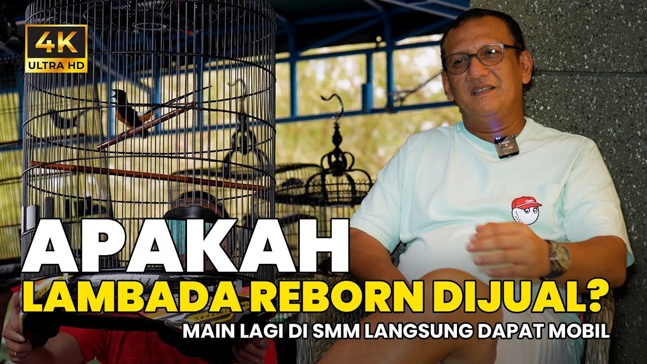 Apakah Lambada Reborn Dijual?