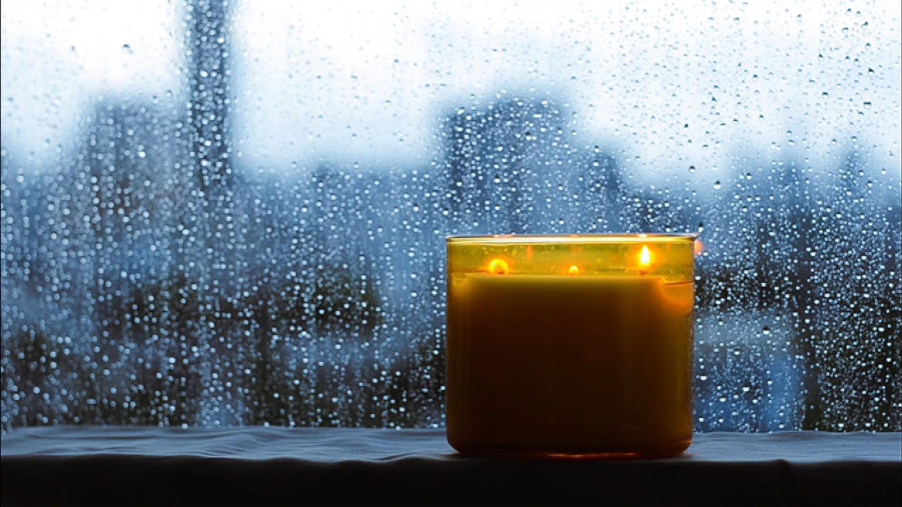 Rain on Window for Sleep | 11 Hours of Cozy Indoor Rain Sounds (No Thunder, No Wind)