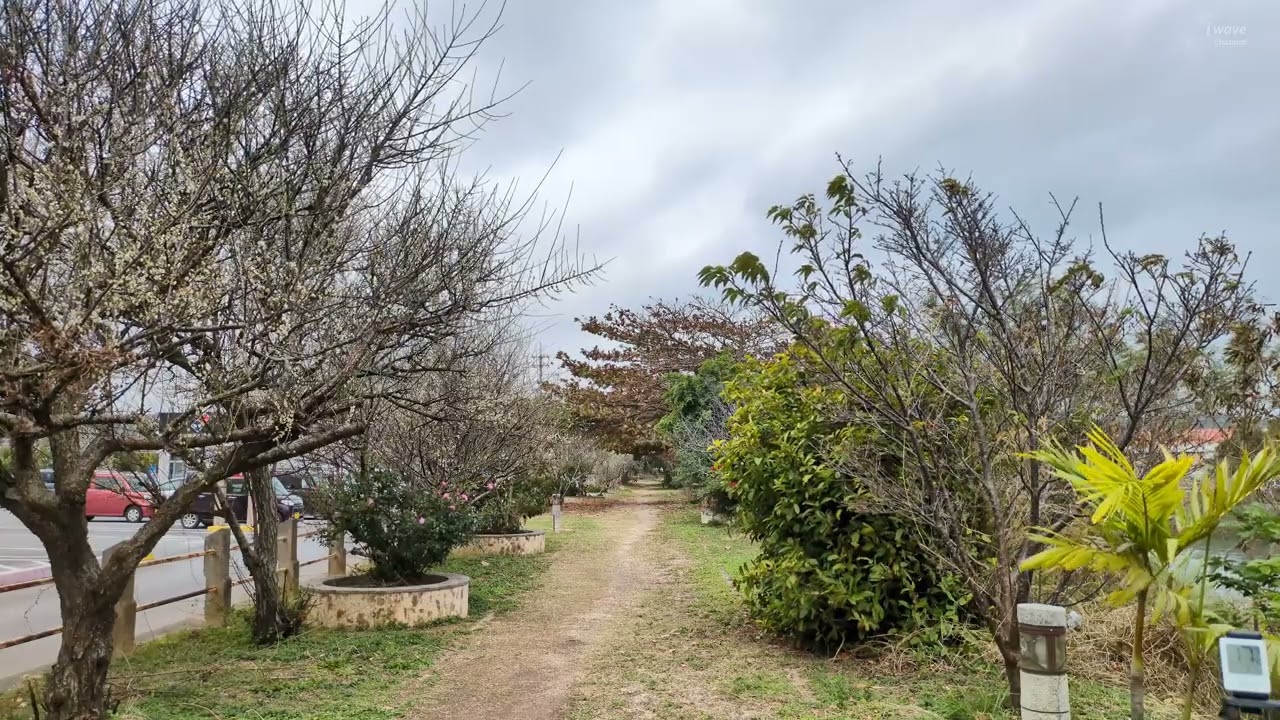 ほぼ毎日公開！今日の空模様- WeatherLog OKINAWA URUMA。Feb.2, 2026