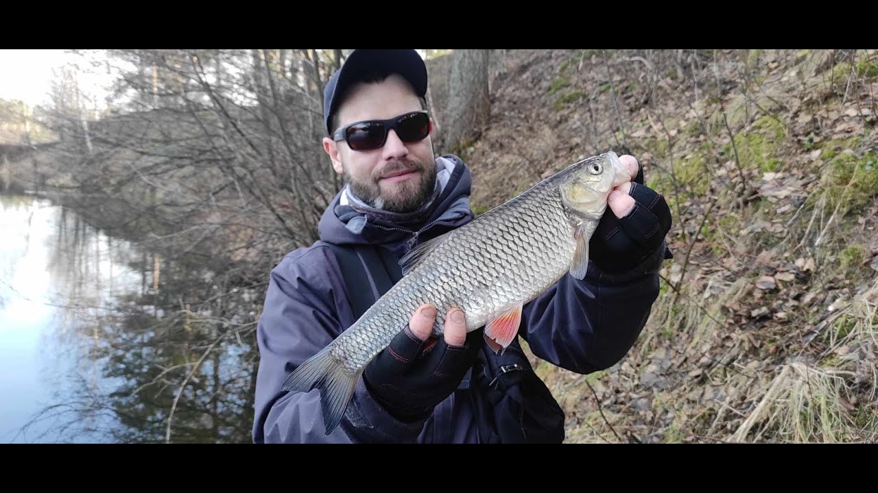 Golden Catch Inquisitor Travel 4-18 Крупный ГОЛАВЛЬ  зимой на спиннинг.
