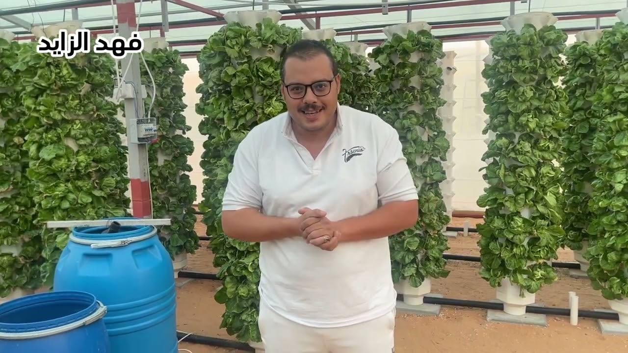 زراعة الخس من الالف إلى الياء الزراعة المائية#الزراعة_المائية_الهيدروبنك #hydroponics#