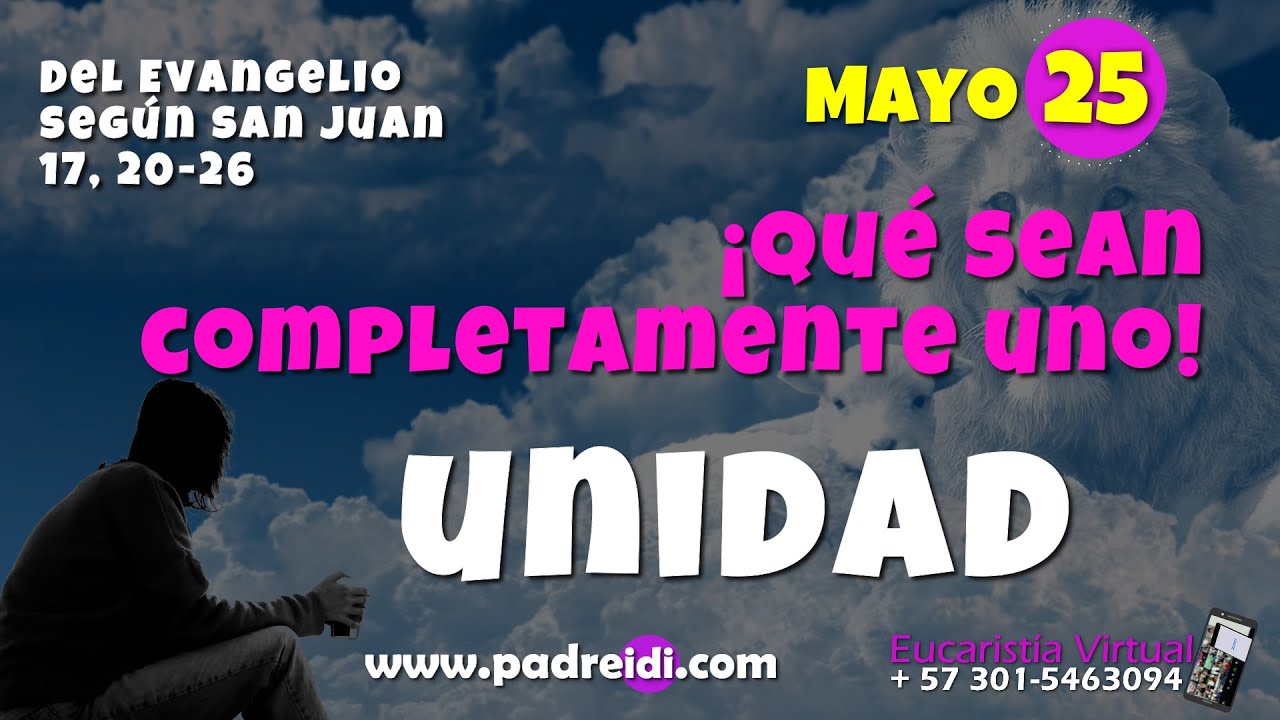 Evangelio mayo 25, Unidad, &iexcl;Que sean completamente uno!, padreidi.com