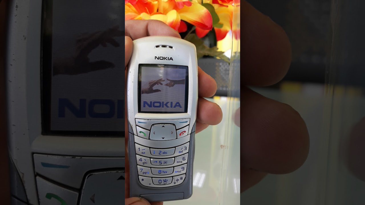 Nokia 6108 samurai